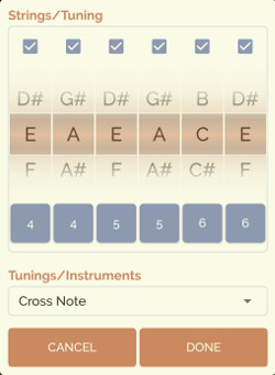 Guitar Droid - Multitouch guitar for Android - Strings and Tunings settings